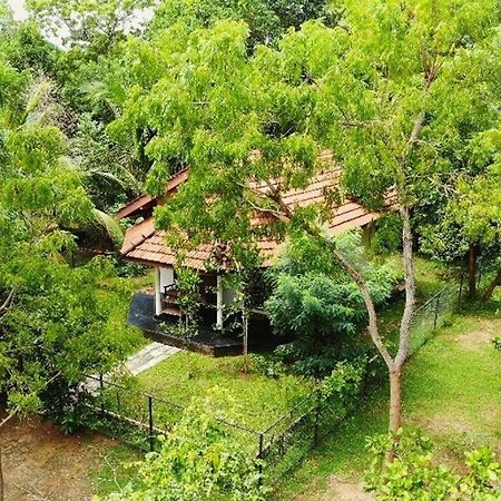 Turtles View Resort Tangalle Exterior photo