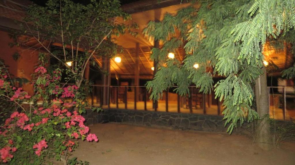 Turtles View Resort Tangalle Exterior photo