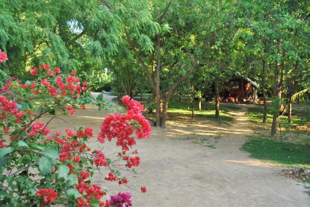 Turtles View Resort Tangalle Exterior photo