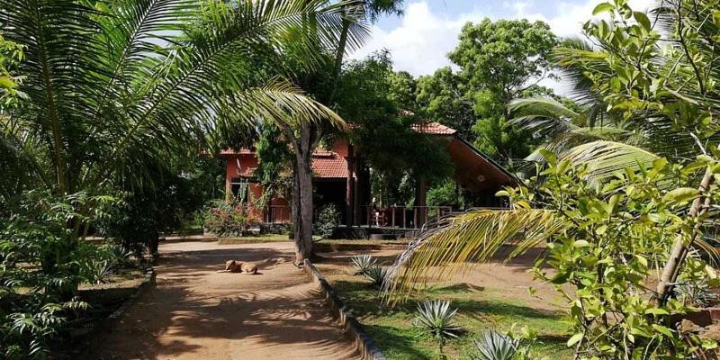 Turtles View Resort Tangalle Exterior photo